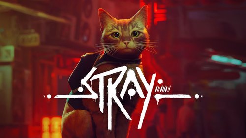 Let's Play du mardi - Stray.jpg