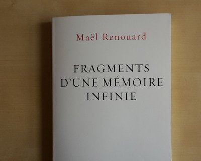 couverture du livre Fragments d'une mémoire infinie de Maël Renouard