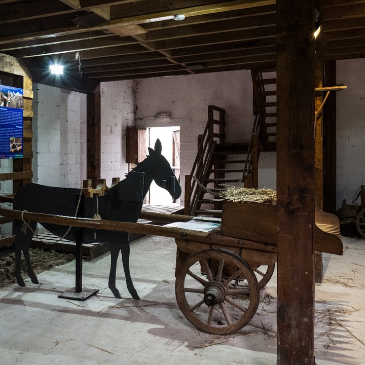 Malagne - Archéoparc de Rochefort  (c) Céline Bataille 5