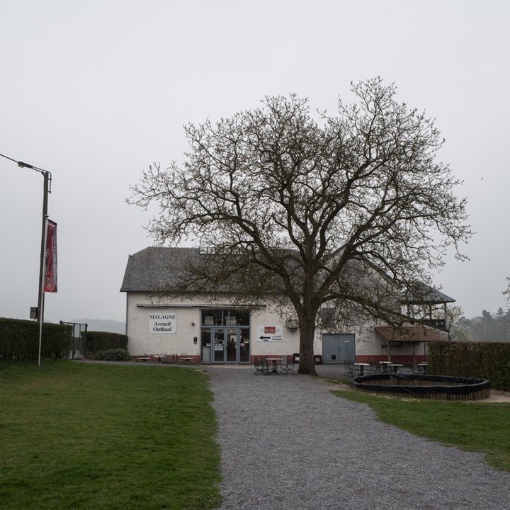 Malagne - Archéoparc de Rochefort  (c) Céline Bataille 3