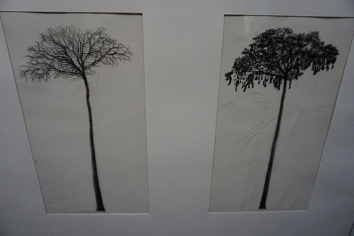 exposition Nous les arbres - oeuvres de Cesare Leonardi et Franca Stagi