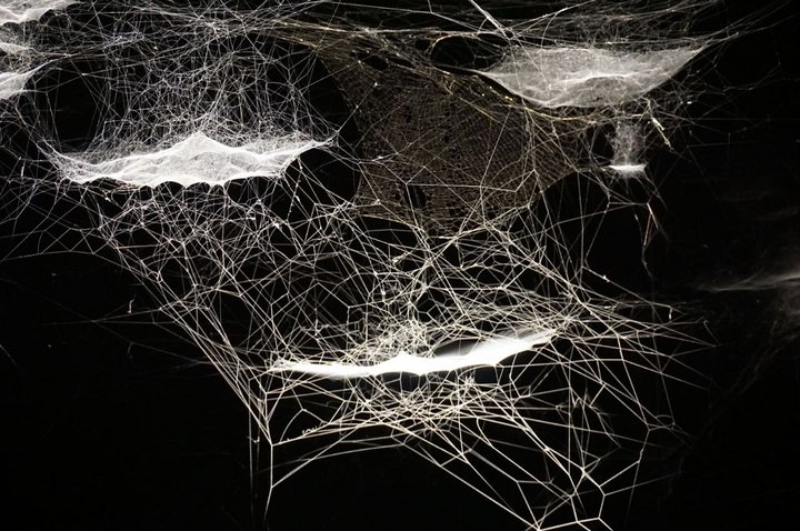 "On Air", WEB OF AT-TENT(S)ION - (c) Tomás Saraceno - Palais de Tokyo