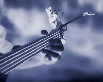 Oud, close-up of fingerboard, photograph Du son sur tes tartines 2.jpg