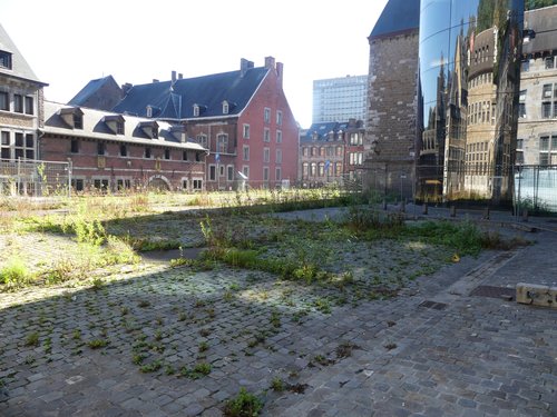 Nature en ville (Liège)