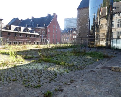 Nature en ville (Liège)