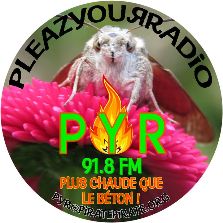 PYR LOGO WEB JPG.jpg