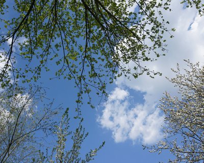 Ciel bleu pour l’après ?