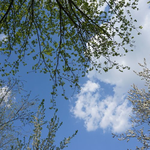 Ciel bleu pour l’après ?