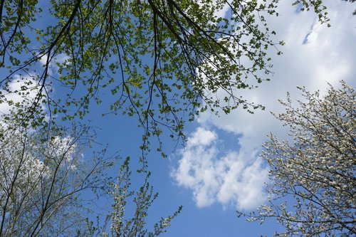 Ciel bleu pour l’après ?