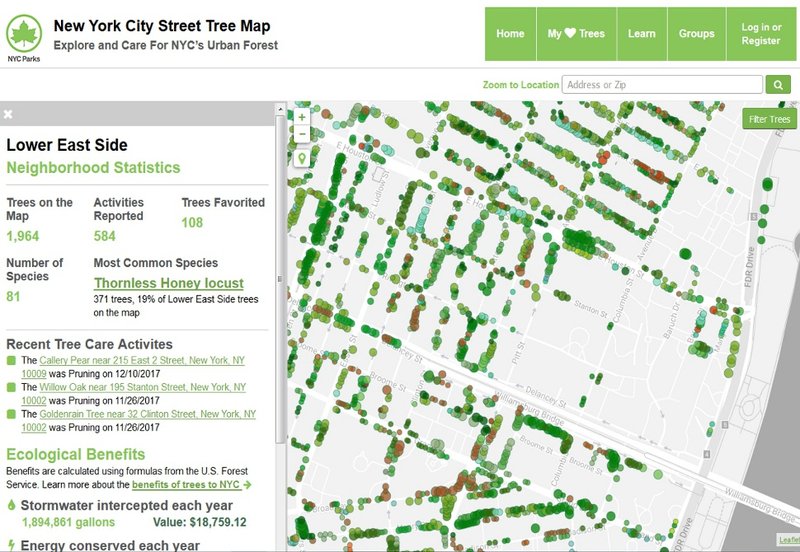 revue du web - NYC Street Tree Map