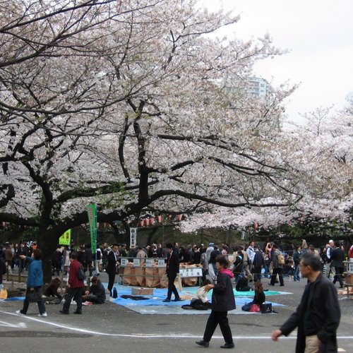 Parc Ueno - Tokyo - creative commons Wikimedia