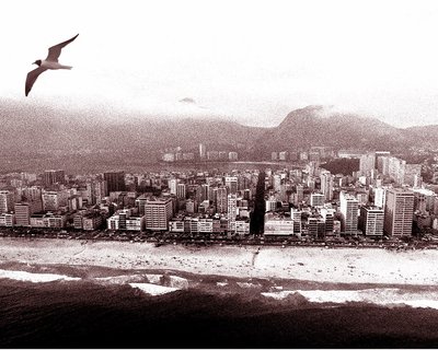 Vieira_Souto_-_Lagoa_Rodrigo_de_Freitas,_seagull _ Bossa nova Du son sur tes tartines.jpg