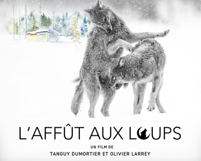 affut aux loups-affiche