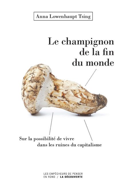 le champignon de la fin du monde