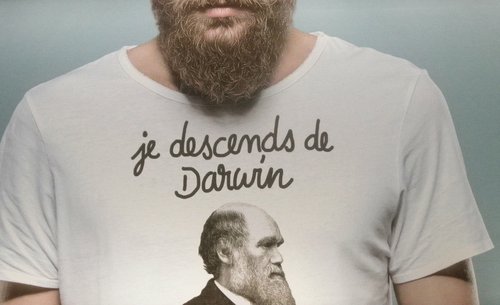 je descends de Darwin