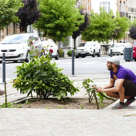 écologie urbaine (4).JPG