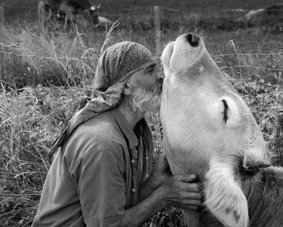 Réenchanter notre lien au monde en explorant nos relations aux animaux