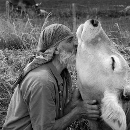 Réenchanter notre lien au monde en explorant nos relations aux animaux