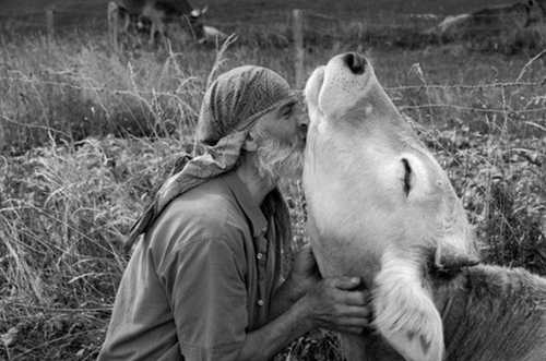 Réenchanter notre lien au monde en explorant nos relations aux animaux