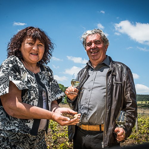 Labour et biologie du sol en agriculture