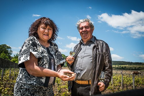 Labour et biologie du sol en agriculture