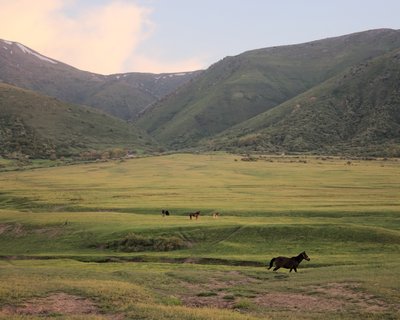 steppe du Kazakhstan