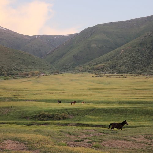 steppe du Kazakhstan