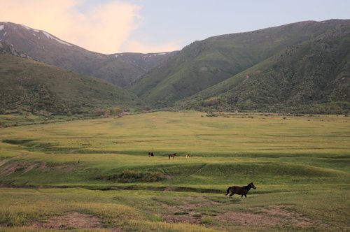 steppe du Kazakhstan