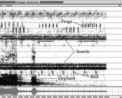 Soundscape