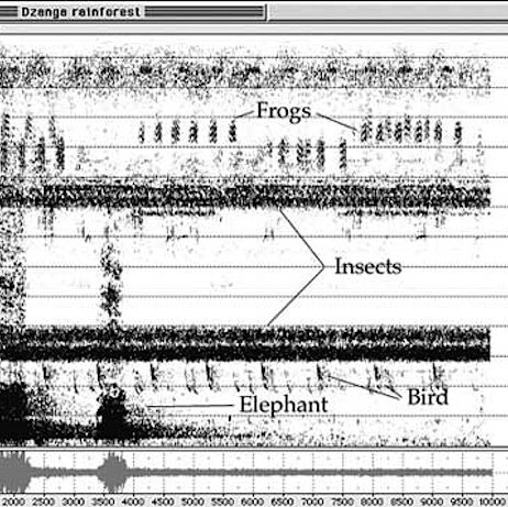 Soundscape