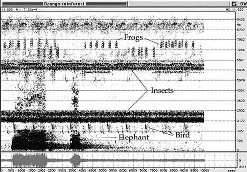 Soundscape