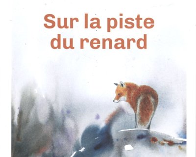 sur la piste du renard.jpg