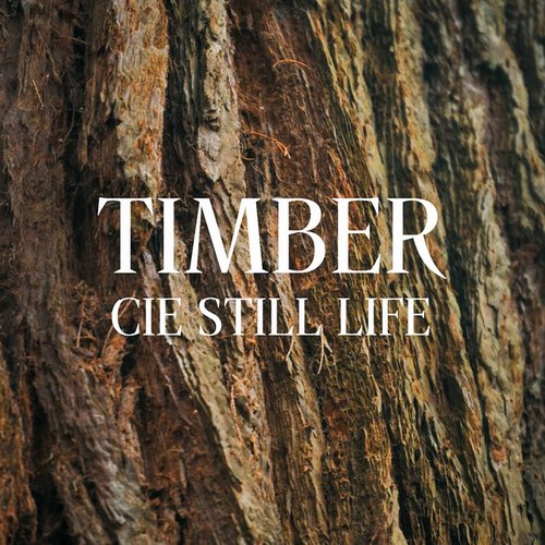 timber_800x800px